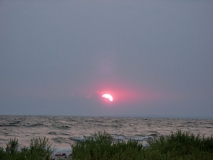 image002 image002